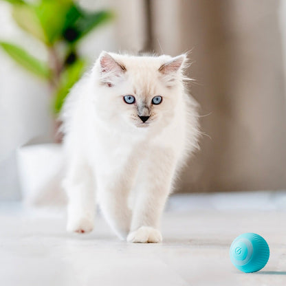 KattenRoller™ | Het favoriete speeltje van je kat! - Campor NL